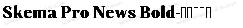 Skema Pro News Bold字体转换